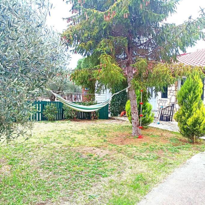 Πετρινη Κατοικια Στην Φυση Villa Tagarades Екстериор снимка