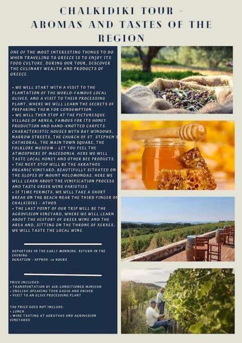 Πετρινη Κατοικια Στην Φυση Villa Tagarades Екстериор снимка