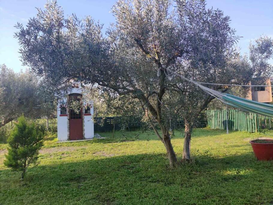 Πετρινη Κατοικια Στην Φυση Villa Tagarades Екстериор снимка