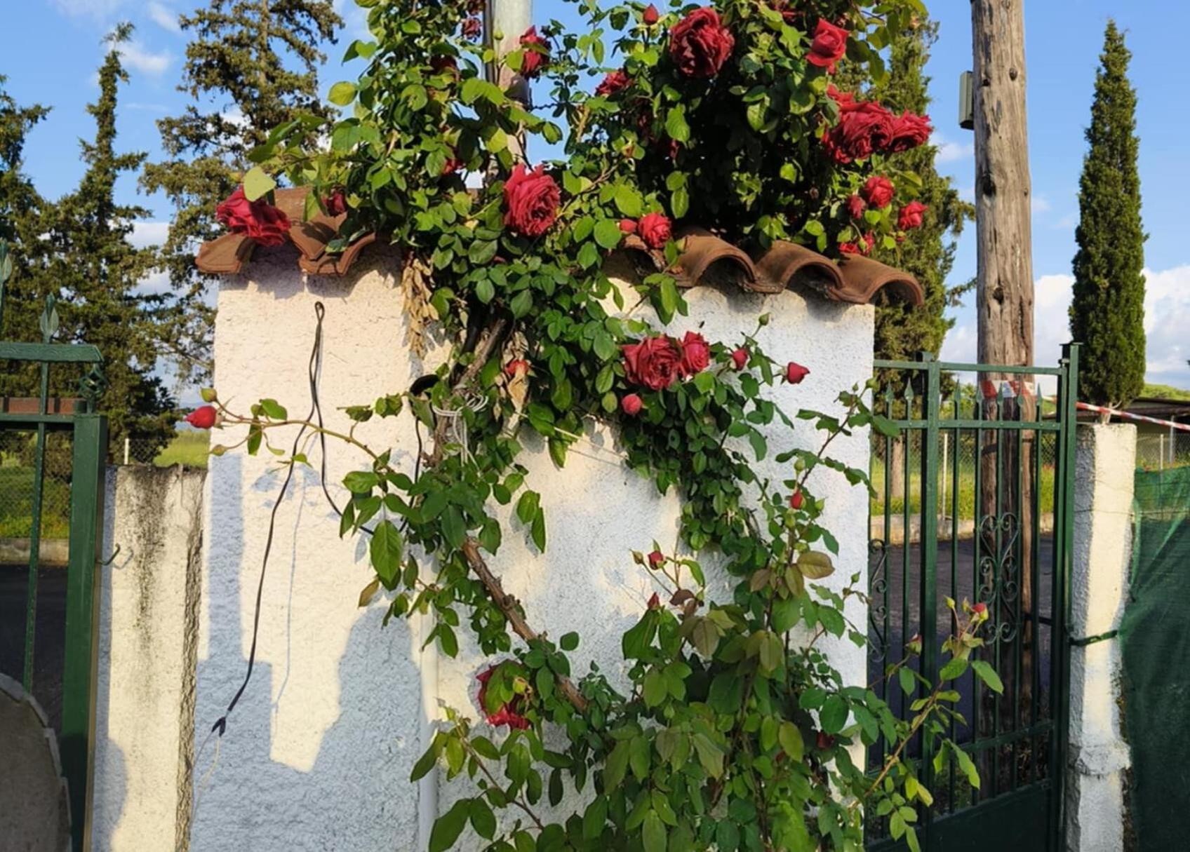 Πετρινη Κατοικια Στην Φυση Villa Tagarades Екстериор снимка
